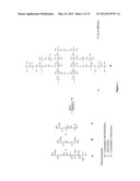 BIODEGRADABLE STEALTH POLYMERIC PARTICLES FABRICATED USING THE     MACROMONOMER APPROACH BY FREE RADICAL DISPERSION POLYMERIZATION diagram and image