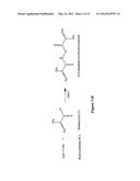 BIODEGRADABLE STEALTH POLYMERIC PARTICLES FABRICATED USING THE     MACROMONOMER APPROACH BY FREE RADICAL DISPERSION POLYMERIZATION diagram and image