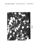 BIODEGRADABLE STEALTH POLYMERIC PARTICLES FABRICATED USING THE     MACROMONOMER APPROACH BY FREE RADICAL DISPERSION POLYMERIZATION diagram and image