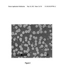 STEALTH POLYMERIC PARTICLES FOR DELIVERY OF BIOACTIVE OR DIAGNOSTIC AGENTS diagram and image