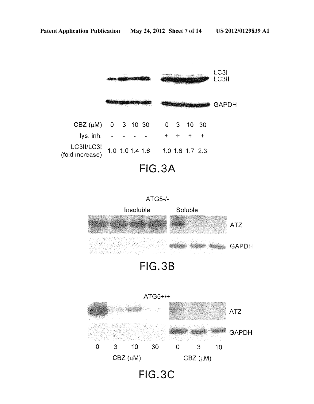 METHODS OF TREATING DISORDERS ASSOCIATED WITH PROTEIN POLYMERIZATION - diagram, schematic, and image 08