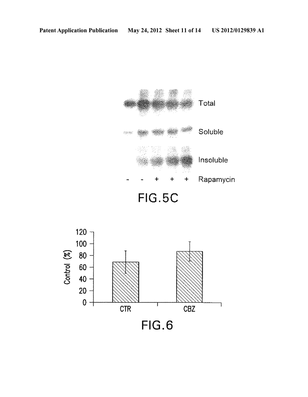 METHODS OF TREATING DISORDERS ASSOCIATED WITH PROTEIN POLYMERIZATION - diagram, schematic, and image 12