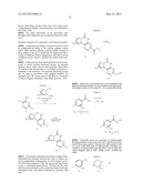 POLY (ADP-RIBOSE) POLYMERASE (PARP) INHIBITORS diagram and image