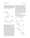 POLY (ADP-RIBOSE) POLYMERASE (PARP) INHIBITORS diagram and image