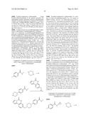 POLY (ADP-RIBOSE) POLYMERASE (PARP) INHIBITORS diagram and image