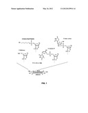 ORGANIC COMPOSITIONS TO TREAT HSF1-RELATED DISEASES diagram and image