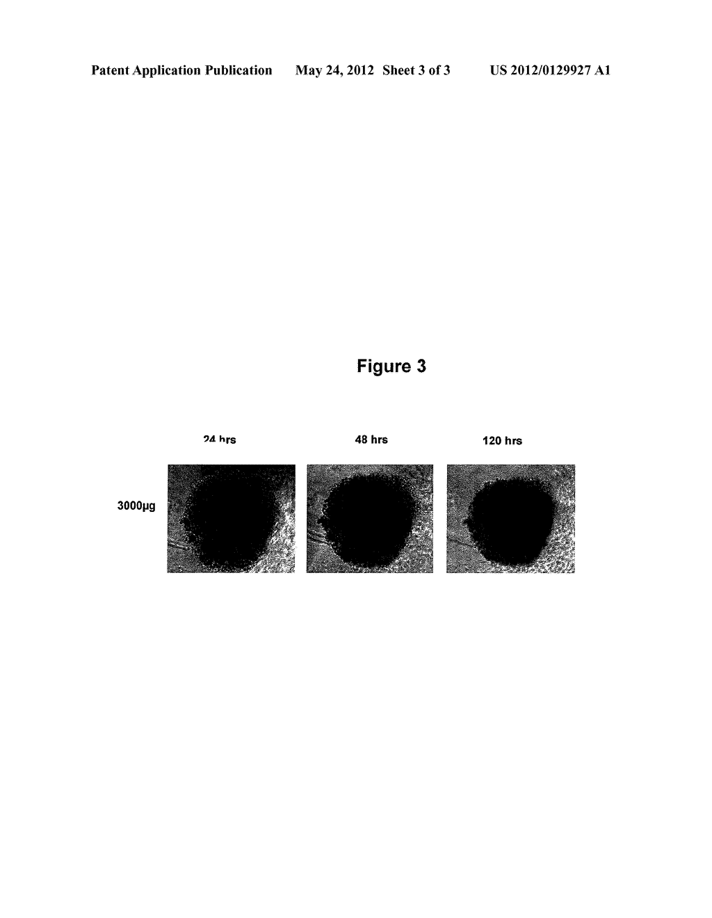 New Anthraquinone Derivatives - diagram, schematic, and image 04