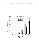 Chlorine-Free Liquid Microbicide Treatment diagram and image