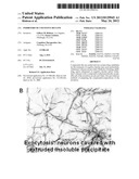 INHIBITORS OF COGNITIVE DECLINE diagram and image