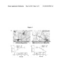 INHIBITORS OF COGNITIVE DECLINE diagram and image