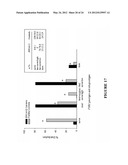 ANALYZING THE FMR1 GENE diagram and image