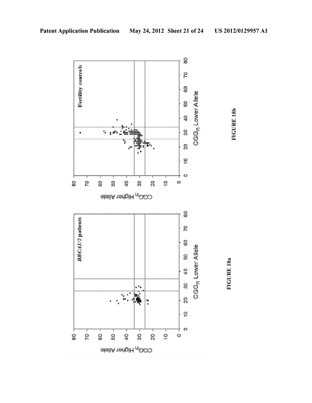 ANALYZING THE FMR1 GENE - diagram, schematic, and image 22