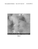 NANOCOMPOSITE INCLUDING HEAT-TREATED CLAY AND POLYMER diagram and image