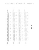 TROPOELASTIN DERIVATIVES diagram and image