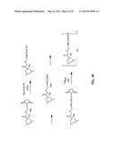 ANTHRACYCLINE DERIVATIVE CONJUGATES, PROCESS FOR THEIR PREPARATION AND     THEIR USE AS ANTITUMOR COMPOUNDS diagram and image