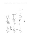 ANTHRACYCLINE DERIVATIVE CONJUGATES, PROCESS FOR THEIR PREPARATION AND     THEIR USE AS ANTITUMOR COMPOUNDS diagram and image