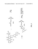 ANTHRACYCLINE DERIVATIVE CONJUGATES, PROCESS FOR THEIR PREPARATION AND     THEIR USE AS ANTITUMOR COMPOUNDS diagram and image