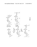 ANTHRACYCLINE DERIVATIVE CONJUGATES, PROCESS FOR THEIR PREPARATION AND     THEIR USE AS ANTITUMOR COMPOUNDS diagram and image