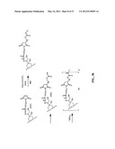 ANTHRACYCLINE DERIVATIVE CONJUGATES, PROCESS FOR THEIR PREPARATION AND     THEIR USE AS ANTITUMOR COMPOUNDS diagram and image