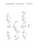 ANTHRACYCLINE DERIVATIVE CONJUGATES, PROCESS FOR THEIR PREPARATION AND     THEIR USE AS ANTITUMOR COMPOUNDS diagram and image