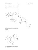 ANTHRACYCLINE DERIVATIVE CONJUGATES, PROCESS FOR THEIR PREPARATION AND     THEIR USE AS ANTITUMOR COMPOUNDS diagram and image