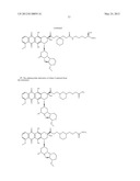 ANTHRACYCLINE DERIVATIVE CONJUGATES, PROCESS FOR THEIR PREPARATION AND     THEIR USE AS ANTITUMOR COMPOUNDS diagram and image