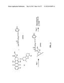 ANTHRACYCLINE DERIVATIVE CONJUGATES, PROCESS FOR THEIR PREPARATION AND     THEIR USE AS ANTITUMOR COMPOUNDS diagram and image