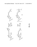 ANTHRACYCLINE DERIVATIVE CONJUGATES, PROCESS FOR THEIR PREPARATION AND     THEIR USE AS ANTITUMOR COMPOUNDS diagram and image