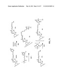 ANTHRACYCLINE DERIVATIVE CONJUGATES, PROCESS FOR THEIR PREPARATION AND     THEIR USE AS ANTITUMOR COMPOUNDS diagram and image