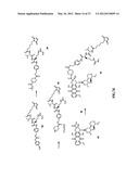 ANTHRACYCLINE DERIVATIVE CONJUGATES, PROCESS FOR THEIR PREPARATION AND     THEIR USE AS ANTITUMOR COMPOUNDS diagram and image