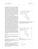 ANTHRACYCLINE DERIVATIVE CONJUGATES, PROCESS FOR THEIR PREPARATION AND     THEIR USE AS ANTITUMOR COMPOUNDS diagram and image