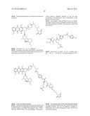 ANTHRACYCLINE DERIVATIVE CONJUGATES, PROCESS FOR THEIR PREPARATION AND     THEIR USE AS ANTITUMOR COMPOUNDS diagram and image