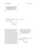 ANTHRACYCLINE DERIVATIVE CONJUGATES, PROCESS FOR THEIR PREPARATION AND     THEIR USE AS ANTITUMOR COMPOUNDS diagram and image