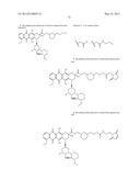 ANTHRACYCLINE DERIVATIVE CONJUGATES, PROCESS FOR THEIR PREPARATION AND     THEIR USE AS ANTITUMOR COMPOUNDS diagram and image