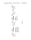 ENZYMATIC SYNTHESIS OF CARBA-NAD diagram and image