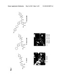 Compounds That Suppress Cancer Cells and Exhibit Antitumor Activity diagram and image