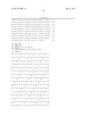 Stereomerically Pure Fused Bicyclic Proline Compounds Useful for Preparing     Hepatitis C Protease Inhibitors diagram and image