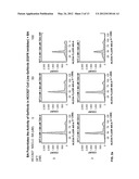 TREATMENT OF LUNG CANCER WITH A NITROBENZAMIDE COMPOUND IN COMBINATION     WITH A GROWTH FACTOR INHIBITOR diagram and image