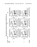 TREATMENT OF LUNG CANCER WITH A NITROBENZAMIDE COMPOUND IN COMBINATION     WITH A GROWTH FACTOR INHIBITOR diagram and image