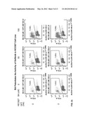 TREATMENT OF LUNG CANCER WITH A NITROBENZAMIDE COMPOUND IN COMBINATION     WITH A GROWTH FACTOR INHIBITOR diagram and image