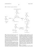 TREATMENT OF LUNG CANCER WITH A NITROBENZAMIDE COMPOUND IN COMBINATION     WITH A GROWTH FACTOR INHIBITOR diagram and image