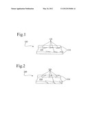 COATED THREAD WITH ANCHORING STRUCTURES FOR ANCHORING IN BIOLOGICAL     TISSUES diagram and image