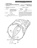 DEPLOYMENT OF ENDOLUMINAL DEVICES diagram and image