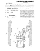 OBJECT DETECTION SYSTEM HAVING INTERFERENCE AVOIDANCE STRATEGY diagram and image