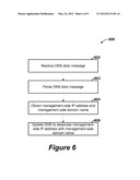 OBTAINING UNIQUE ADDRESSES AND FULLY-QUALIFIED DOMAIN NAMES IN A SERVER     HOSTING SYSTEM diagram and image