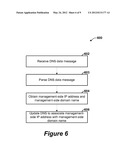 SNOOPING DNS MESSAGES IN A SERVER HOSTING SYSTEM PROVIDING OVERLAPPING     ADDRESS AND NAME SPACES diagram and image