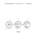 METHOD FOR DIFFERENTIATING HAPTIC FEELINGS BY A SELECT MENU OF A ROTARY     SWITCH diagram and image