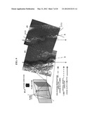 2-DIMENSIONAL LINE-DEFECTS CONTROLLED SILICON INGOT, WAFER AND EPITAXIAL     WAFER, AND MANUFACTURING PROCESS AND APPARATUS THEREFOR diagram and image