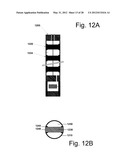 METHOD, SYSTEM AND APPARATUS FOR SYNERGISTICALLY RAISING THE POTENCY OF     ENHANCED OIL RECOVERY APPLICATIONS diagram and image