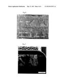 Process and Apparatus for Producing a Metal Covered Polyimide Composite diagram and image